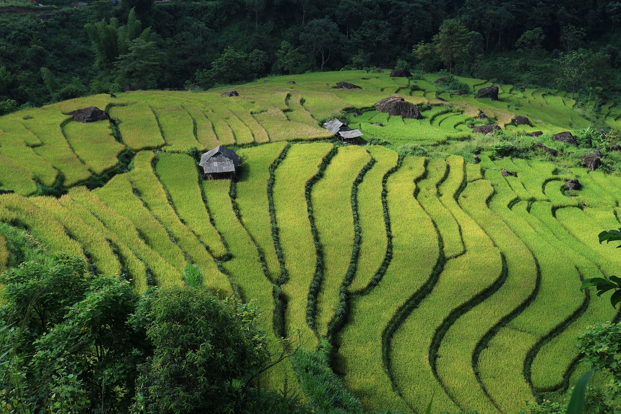 Tour Du Lịch Banner